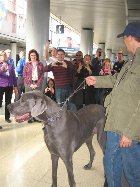 Giant George