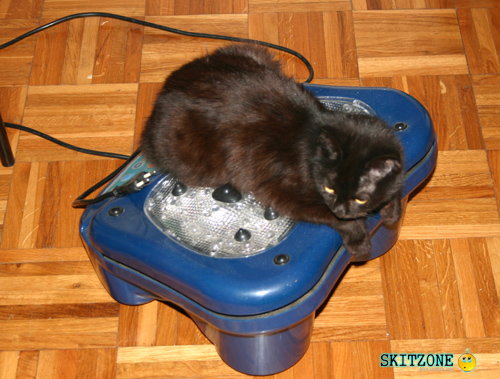 mycat0056 Cat foot massage