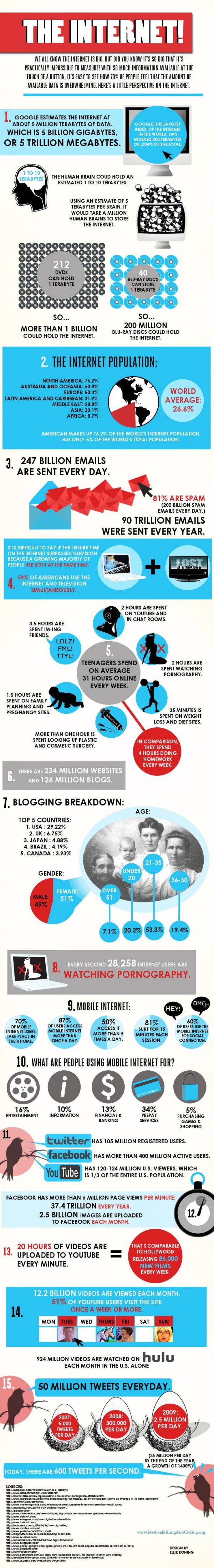 Facts about the Internet (Infographic)