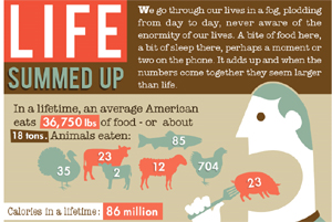 Life Summed Up (Infographic)