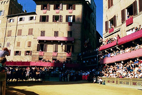 Palio Race Siena