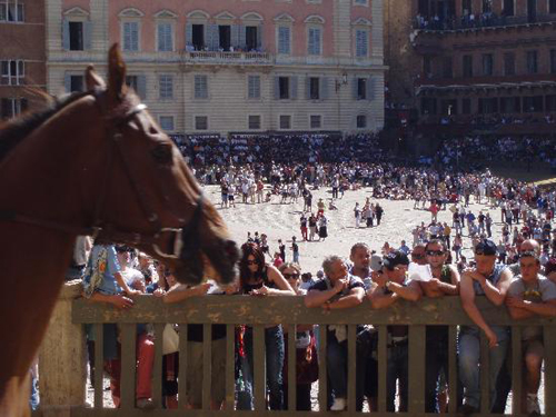 palio race08 Sienas Palio Horse Race