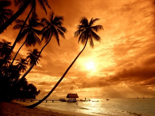 sunset07 Sunset At Pigeon Point, Tobago, Caribbean
