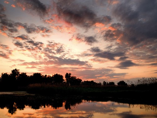 sunset14 Sunset in Kopacki rit Nature Park, Croatia