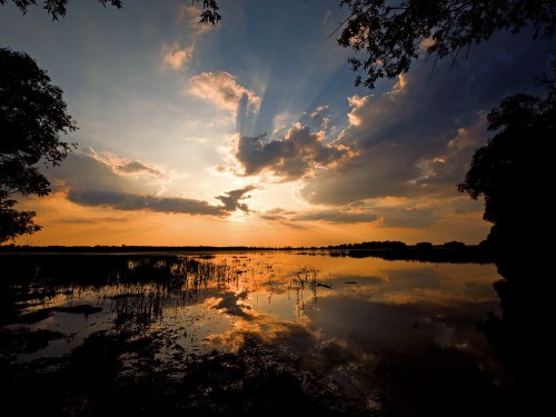 Sunset in Kopacki rit Nature Park, Croatia