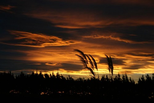 sunset23 Christchurch Sunset