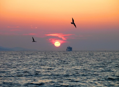 sunset24 Sunset in Zadar, Croatia