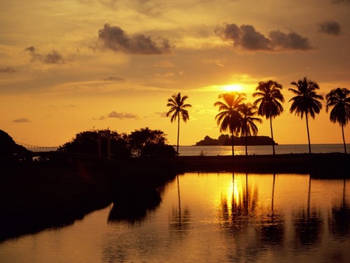 sunset27 sunset and palm trees