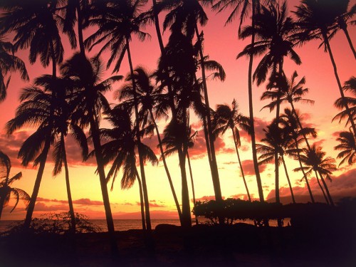 sunset45 Sunset Hawaii