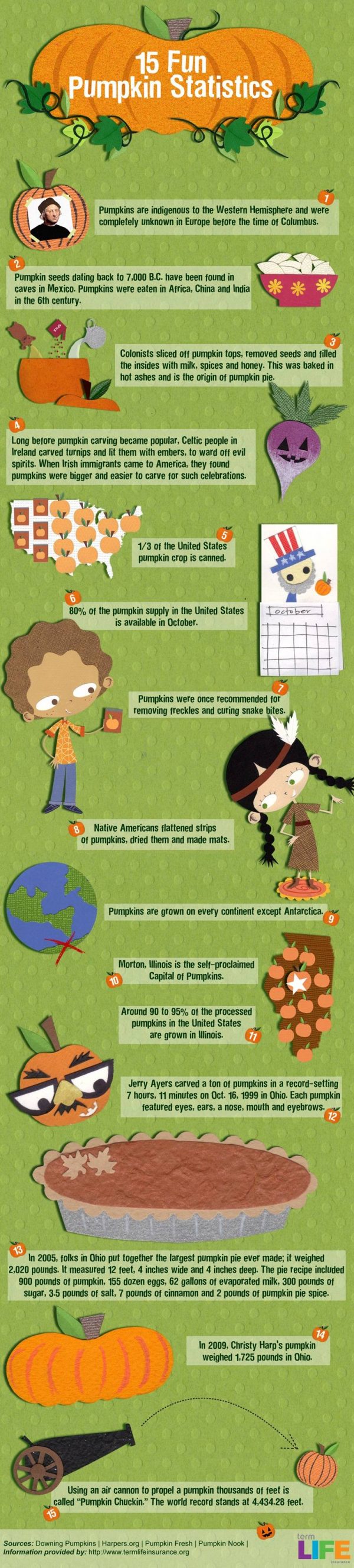 15 Fun Facts & Statistics About Pumpkins