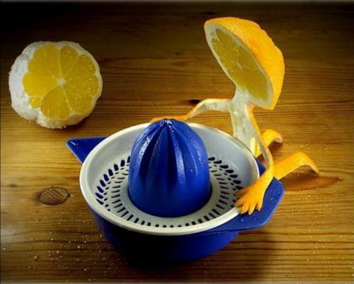 Creative Food Art
