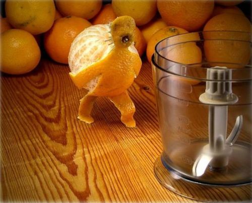 Creative Food Art