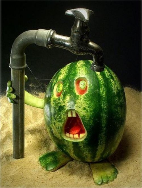 Creative Food Art