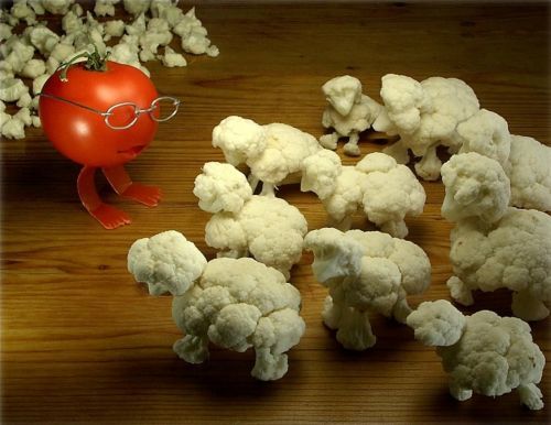 Creative Food Art