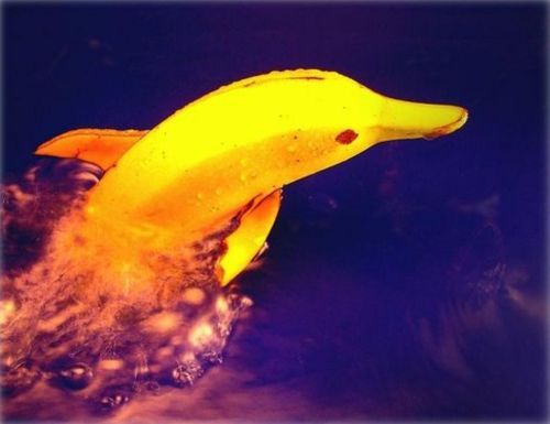 Creative Food Art