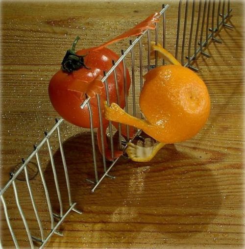 Creative Food Art
