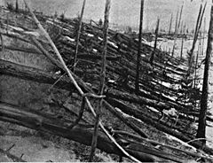Mystery of Tunguska Event