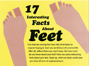 Facts about Feet