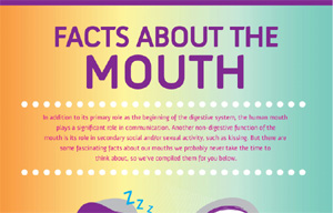 Facts about the Mouth