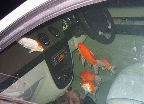 Aquarium Car