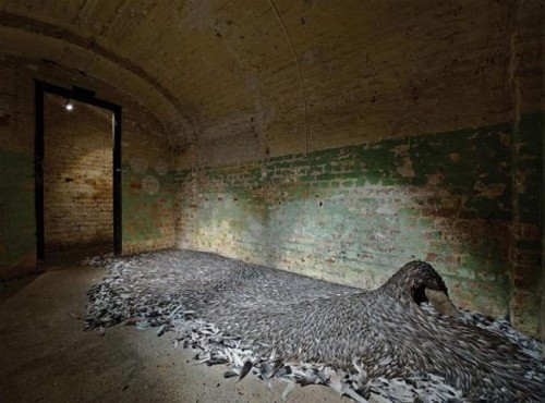 Modern Art Made From Pigeon Feathers