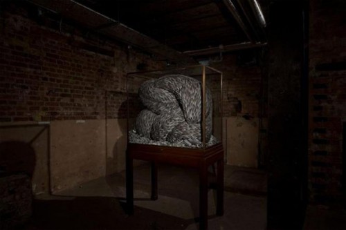 Modern Art Made From Pigeon Feathers