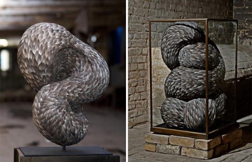 Modern Art Made From Pigeon Feathers
