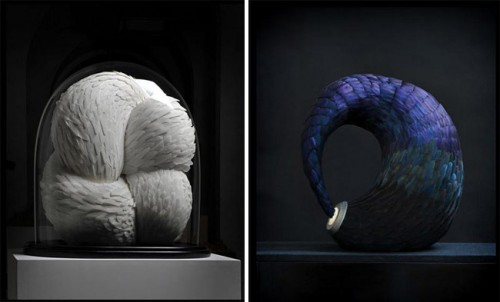 Modern Art Made From Pigeon Feathers