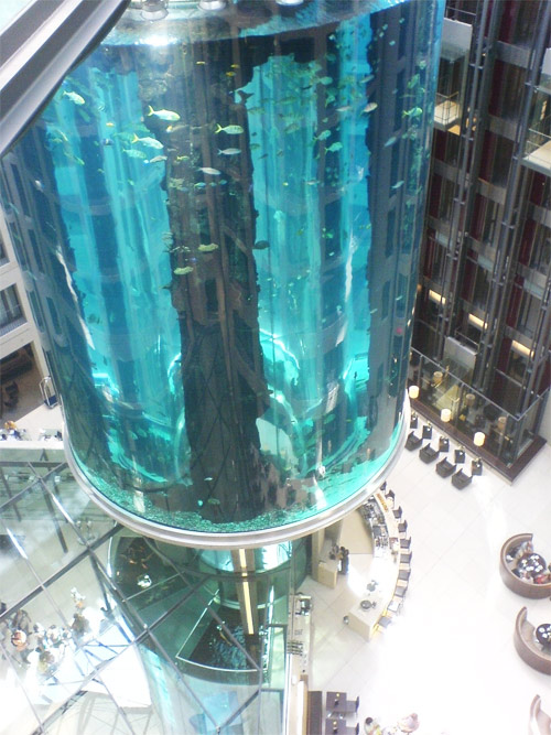 Largest Aquarium Elevator In The World