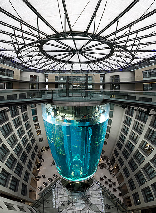 Largest Aquarium Elevator In The World