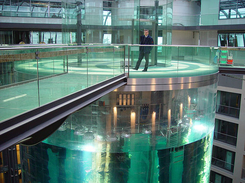 Largest Elevator