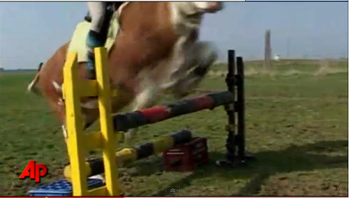 Girl Teaches Cow to Jump