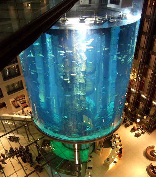 Largest Aquarium Elevator In The World