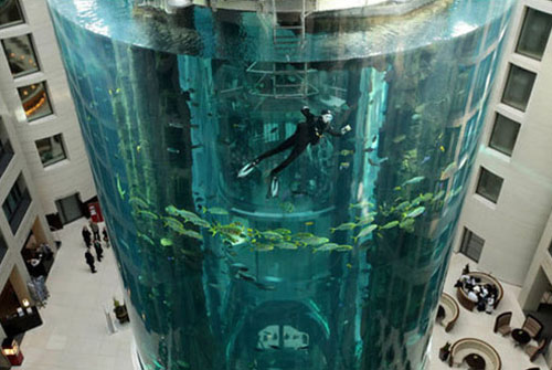 Largest Aquarium Elevator In The World