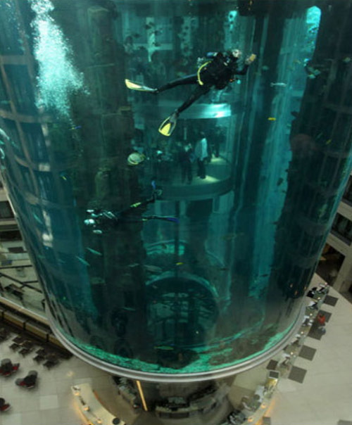 Largest Aquarium Elevator In The World