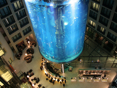 Largest Aquarium Elevator In The World