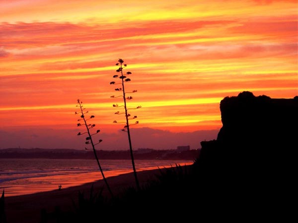 Beautiful Sunset Photos