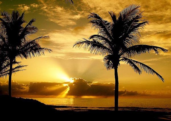 Beautiful Sunset Photos