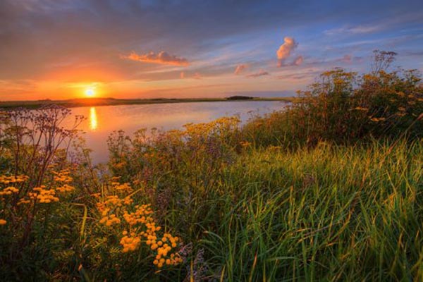 Beautiful Sunset Photos