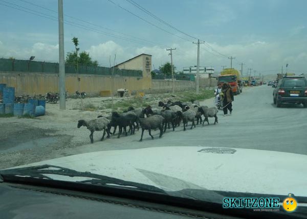 afghanistan02 Funny Photos from Afghanistan