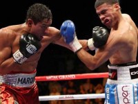 Right Moments Boxing Photos