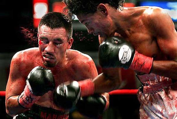 Right Moments Boxing Photos