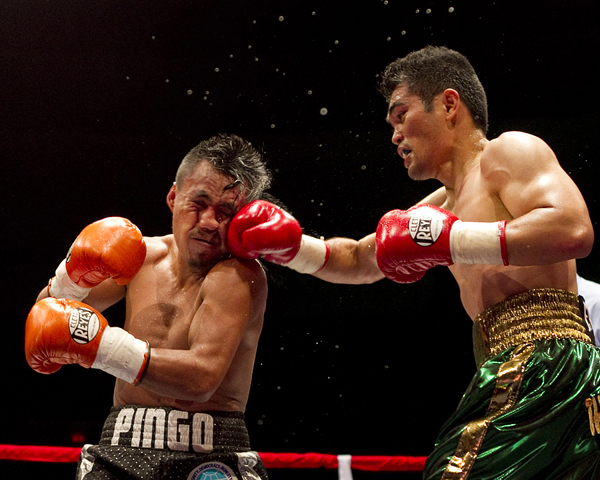 Right Moments Boxing Photos
