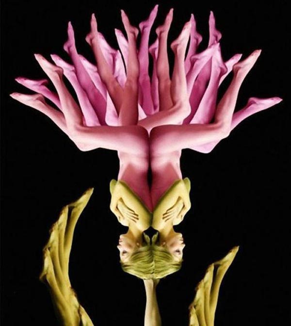 Human Body Art