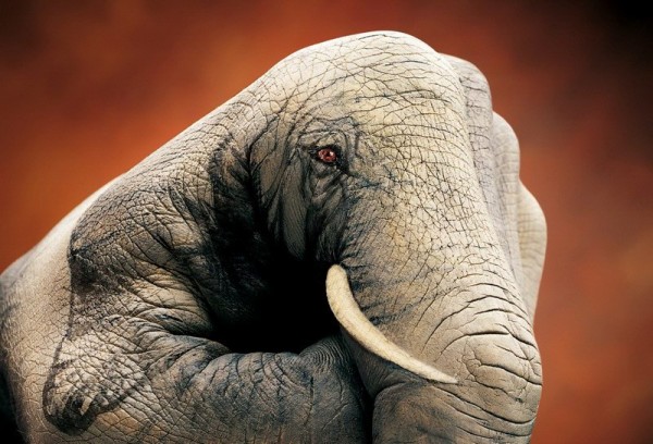 Amazing Body Arts by Guido Daniele
