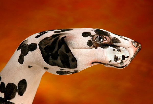 Amazing Body Arts by Guido Daniele