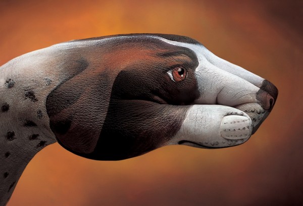 Amazing Body Arts by Guido Daniele