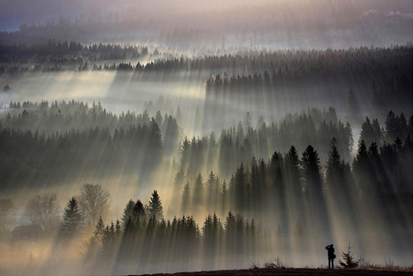 Sunrise - Amazing Morning Sceneries