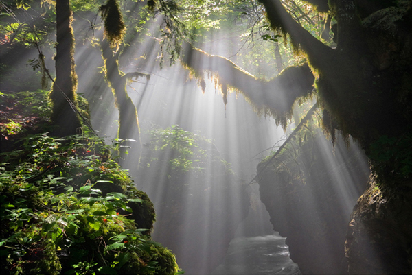 Sunrise - Amazing Morning Sceneries
