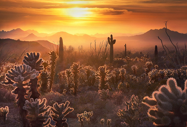 Sunrise - Amazing Morning Sceneries